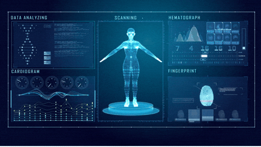 Full Body MRI